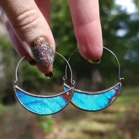 Blue Morpho Butterfly Hoop Earrings