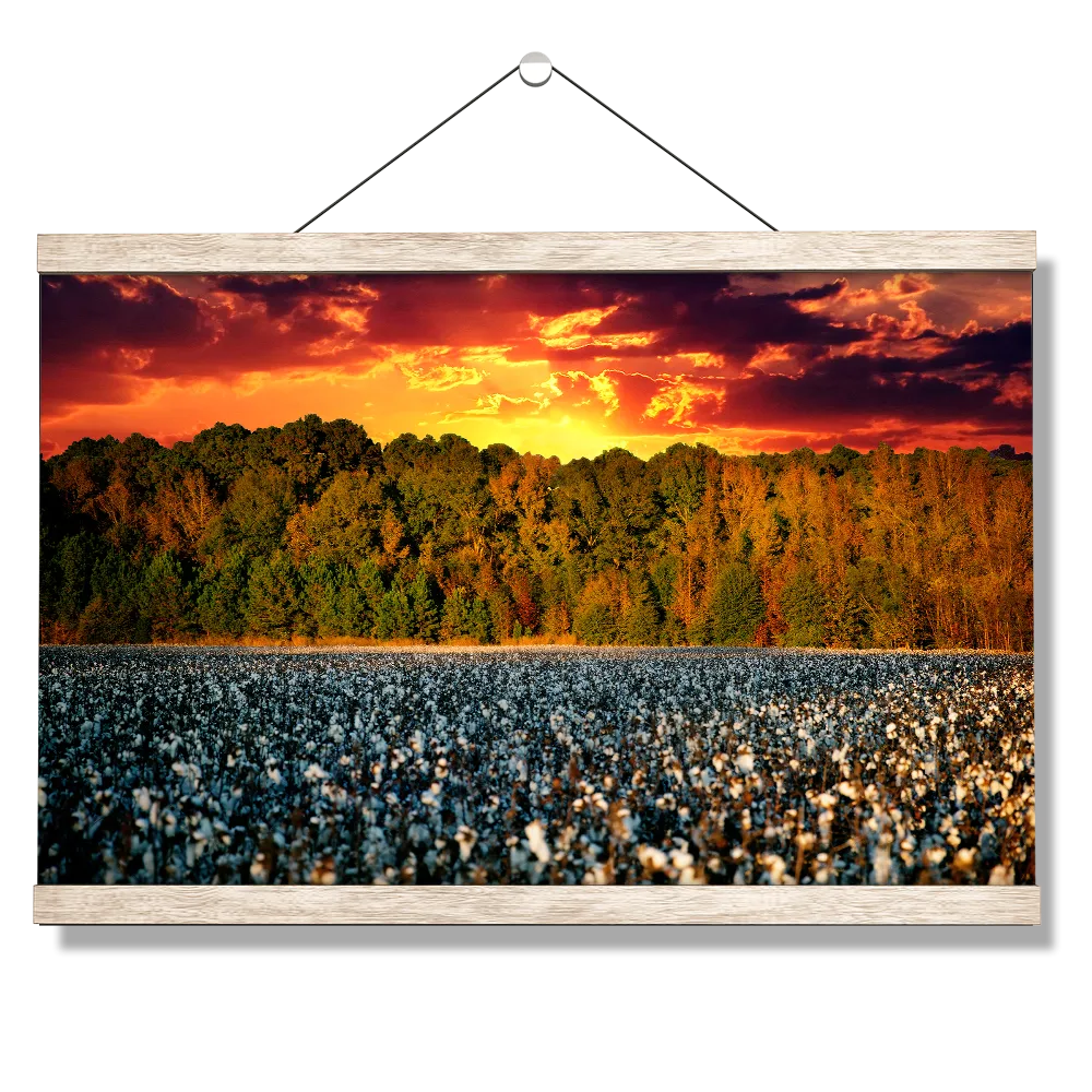 Destination - Cotton Field