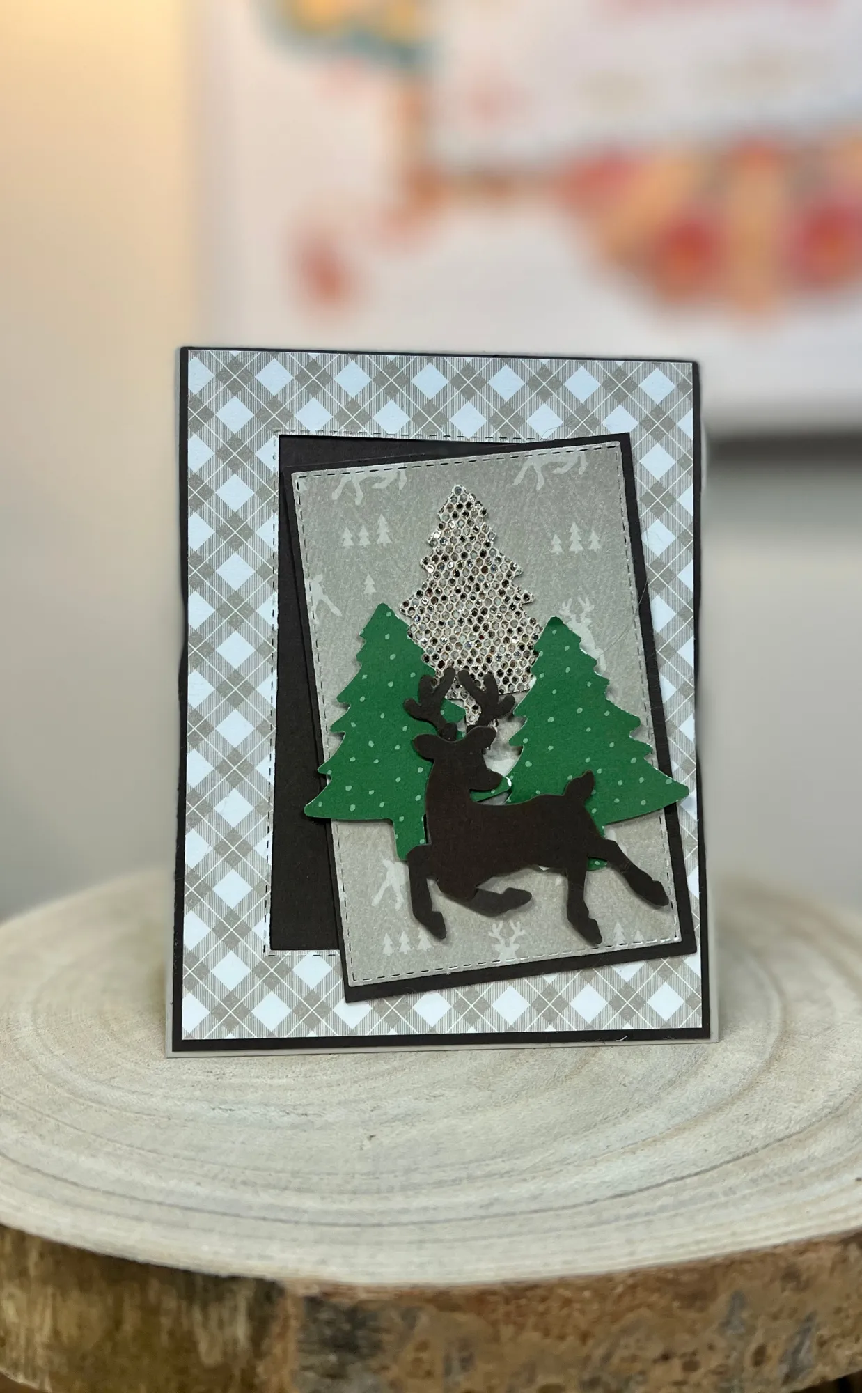 Handmade Cards By Carol - Winter Holiday