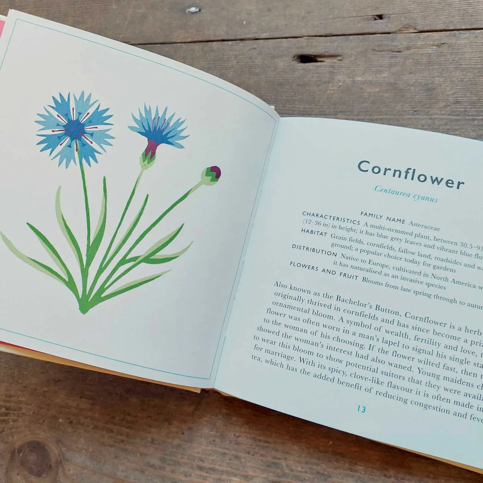 The Little Guide To Wild Flowers