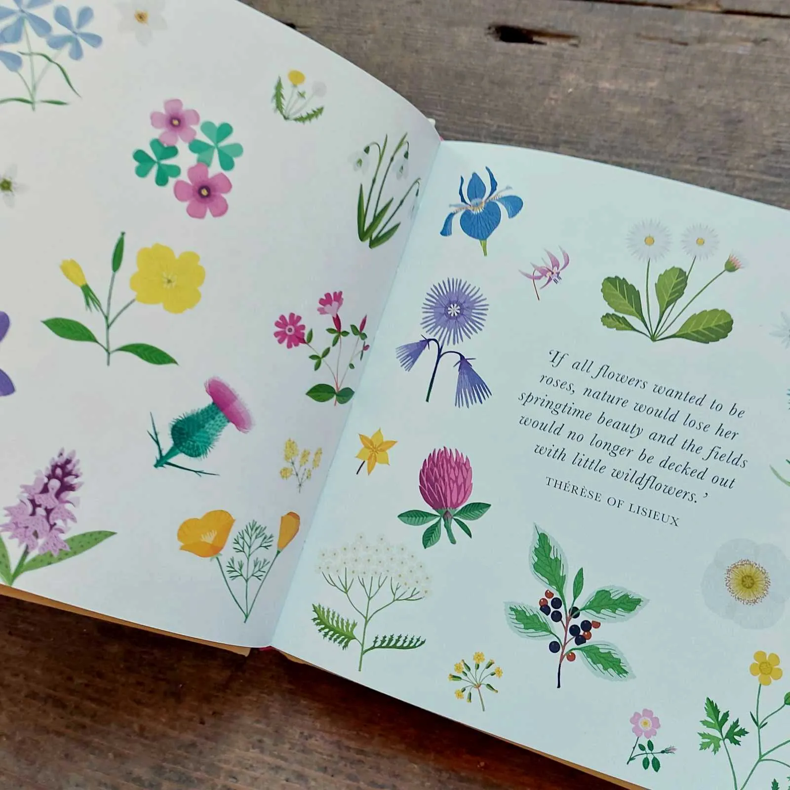 The Little Guide To Wild Flowers